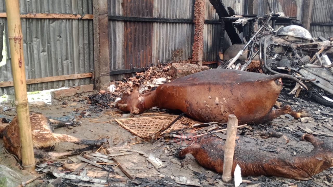 নাউতারায় মশার কয়েলে অগ্নিকাণ্ড, ঘরবাড়িসহ পুড়ে ছাই গরু-ছাগল ও মালামাল