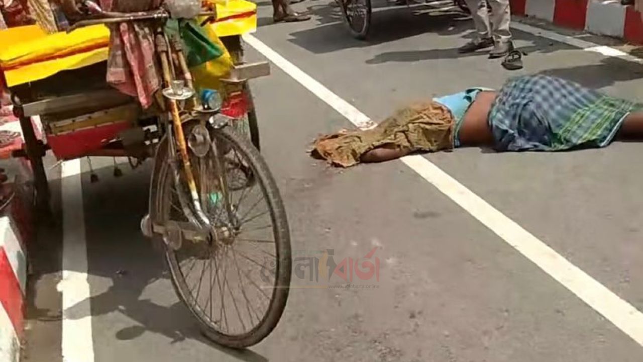 উল্লাপাড়ায় বালুবাহী ট্রাকের চাপায় ভ্যানচালক নিহত