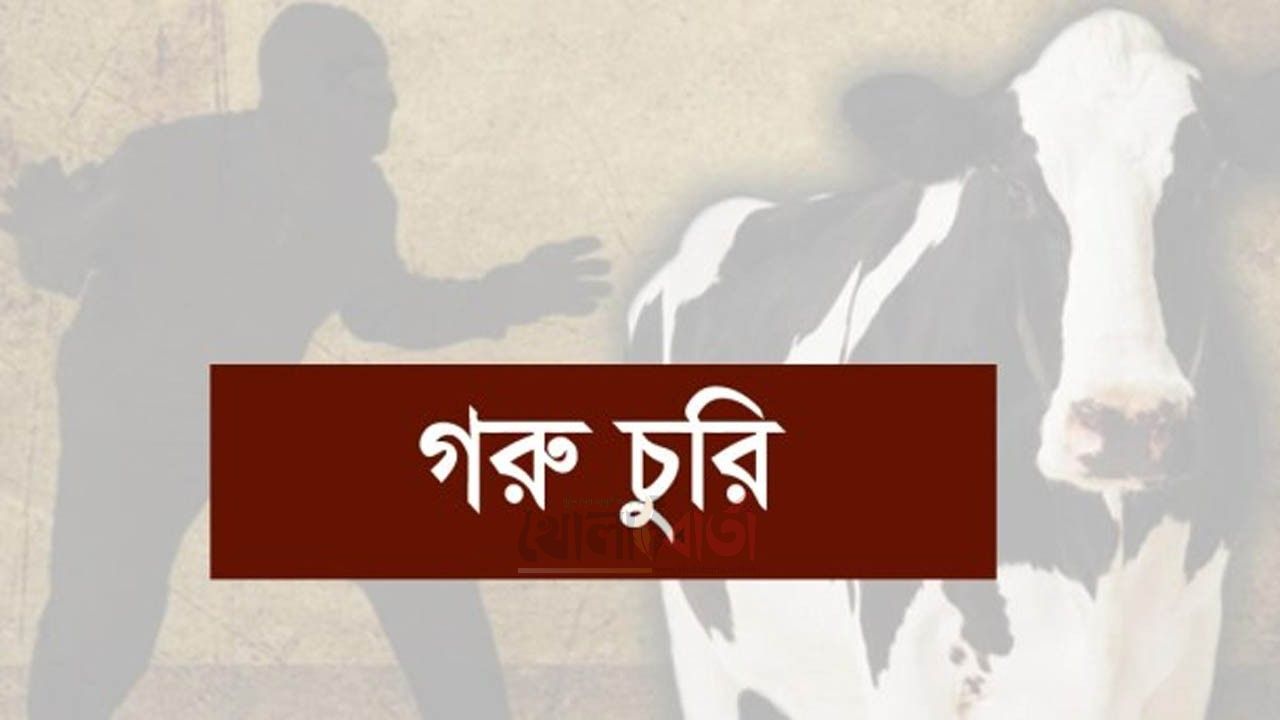 রায়গঞ্জের ব্রহ্মগাছা ইউনিয়নে গোয়ালঘরের তালা কেটে চার গরু চুরি