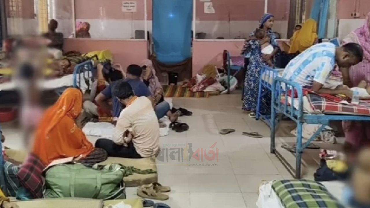সিরাজগঞ্জে ২৪ ঘণ্টায় নতুন ১৮ ডেঙ্গু রোগী, হাসপাতালে ৭৯