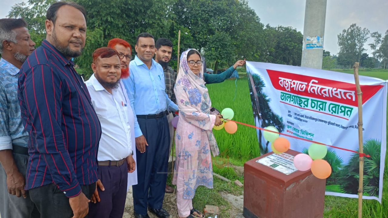 দিনাজপুরে বজ্রপাত নিরোধে ২০০ তালগাছের চারা রোপণ