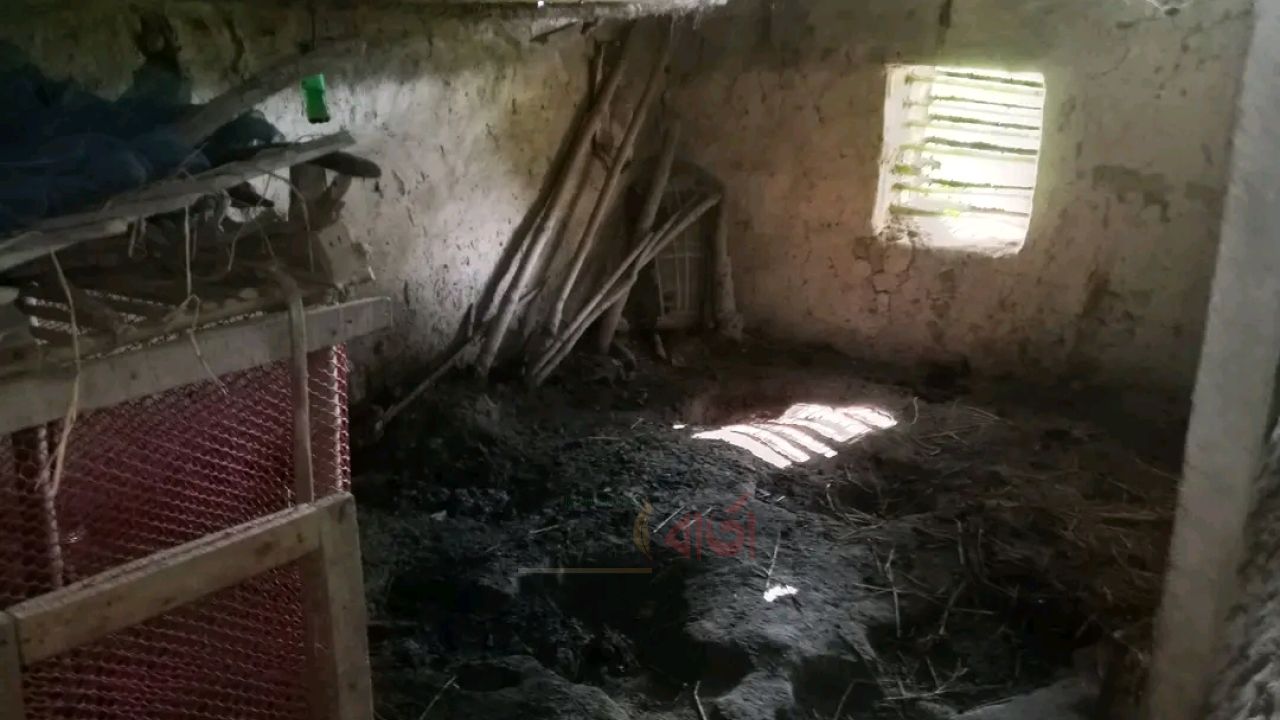 তিন রাতে তাড়াশ-রায়গঞ্জে ২০ গরু চুরি, আতঙ্কে কৃষক