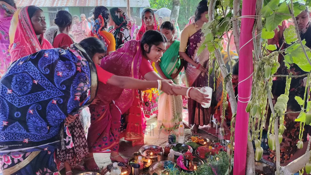 বাবা-ভাইয়ের মঙ্গল কামনায় ধর্মীয় আচার, বৃষ্টিস্নাত দুপুরে রায়গঞ্জে মাহাতোদের কারাম উৎসব