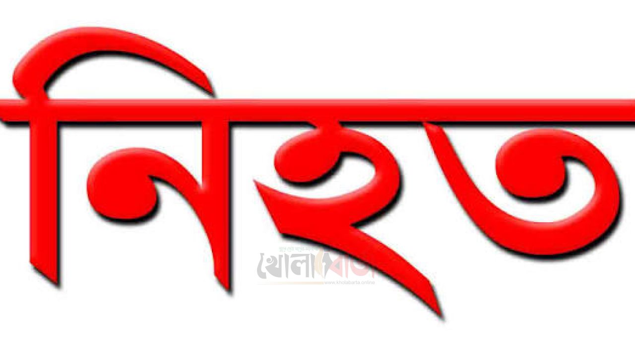 সিরাজগঞ্জে ট্রাকের ধাক্কায় সিএনজি চালক নিহত 