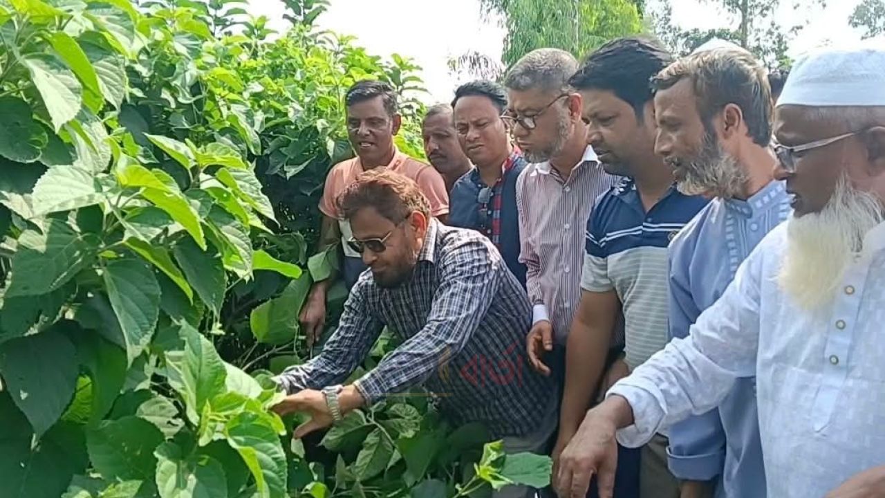 রায়গঞ্জে রাস্তার দু’পাশের আগাছা পরিষ্কার কার্যক্রমের উদ্বোধন