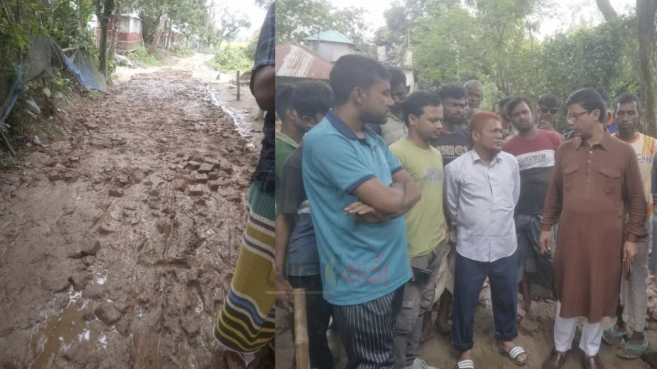 ধুবিলে নিজ উদ্যোগে সড়ক সংস্কারে ইট-বালু ও রাবিশ, স্থায়ী সমাধানের প্রতিশ্রুতি চেয়ারম্যান প্রার্থী হাবুর
