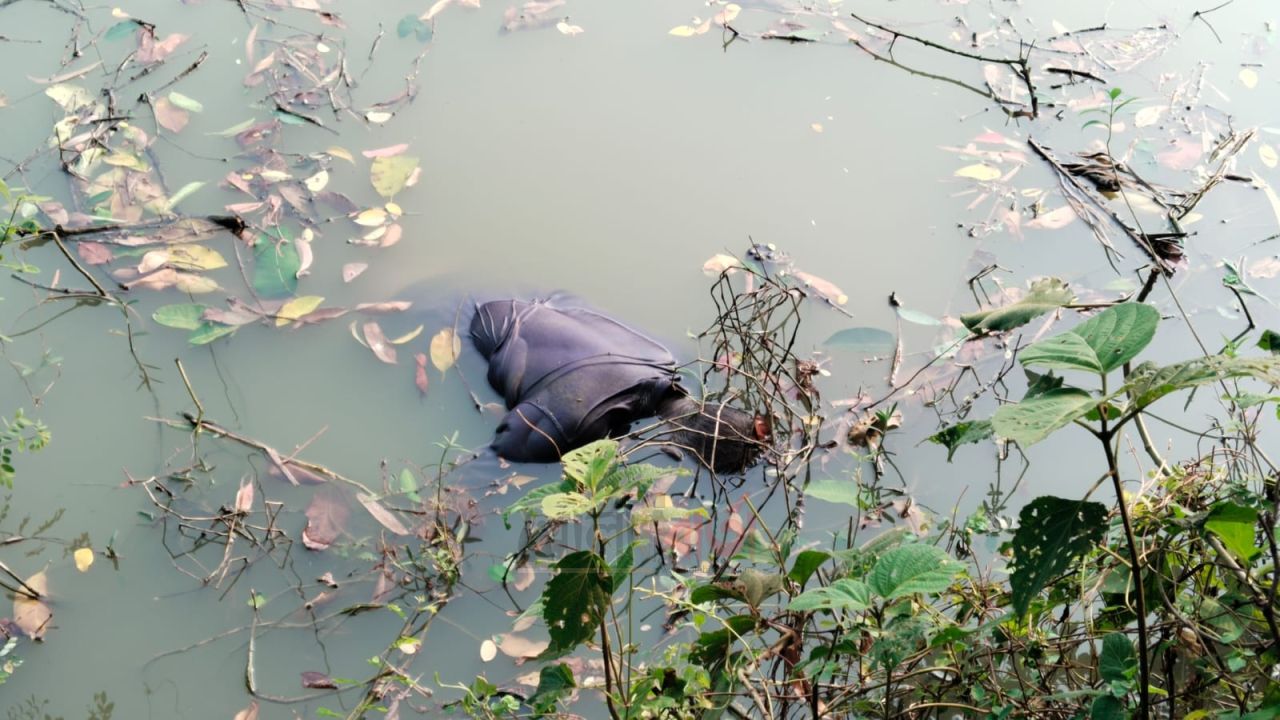 রায়গঞ্জে পুকুরে ভাসছিল বৃদ্ধের মরদেহ