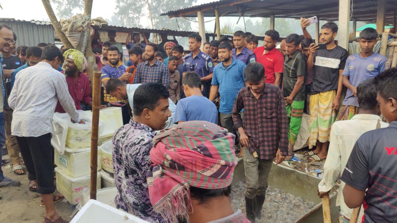 রায়গঞ্জে জেলি পুশ করা ৪৫০ কেজি চিংড়ি জব্দের পর ধ্বংস