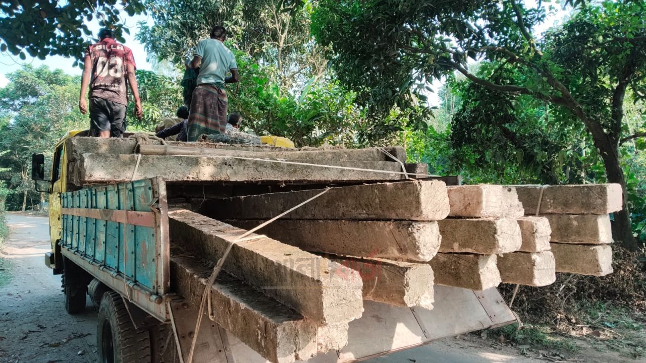 নিমগাছী মৎস প্রকল্পের খুঁটি-তার বাসায় নেওয়ার অভিযোগ, জব্দ করলেন চেয়ারম্যান